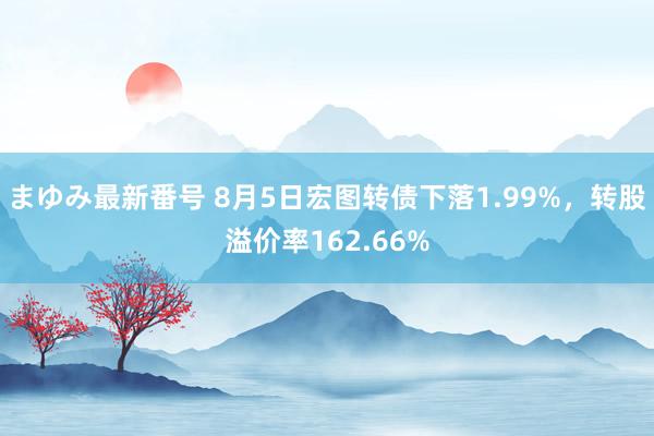 まゆみ最新番号 8月5日宏图转债下落1.99%，转股溢价率162.66%