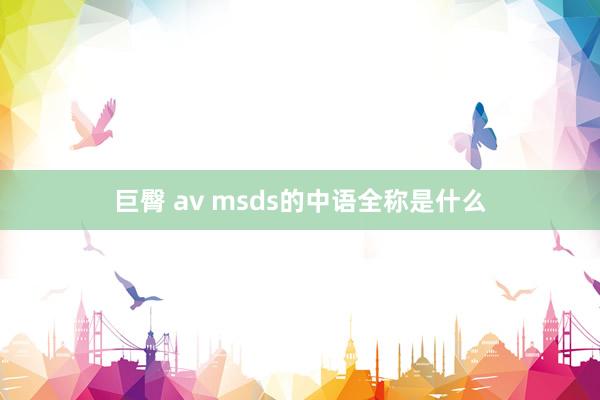 巨臀 av msds的中语全称是什么